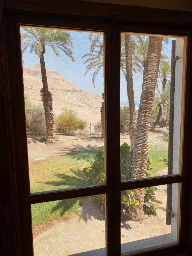 הצימר של יהושע Ein Gedi Extérieur photo