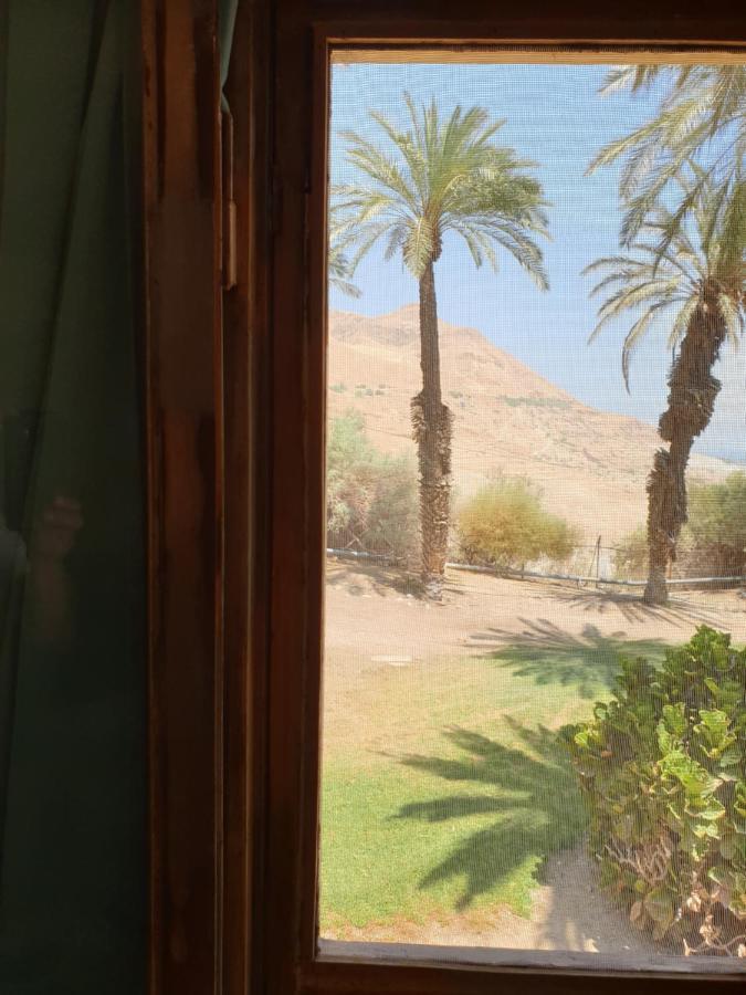 הצימר של יהושע Ein Gedi Extérieur photo